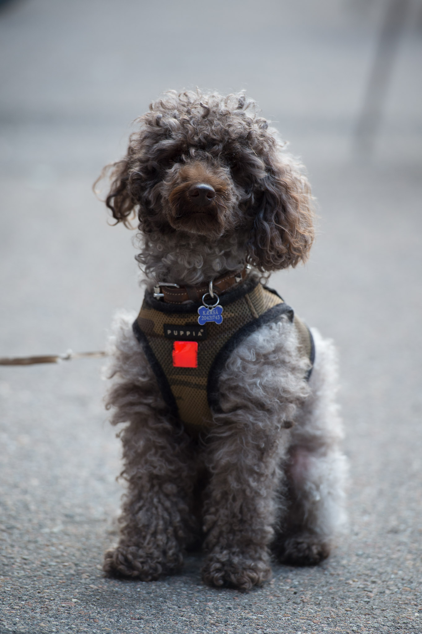 20130505-1249-0204.jpg