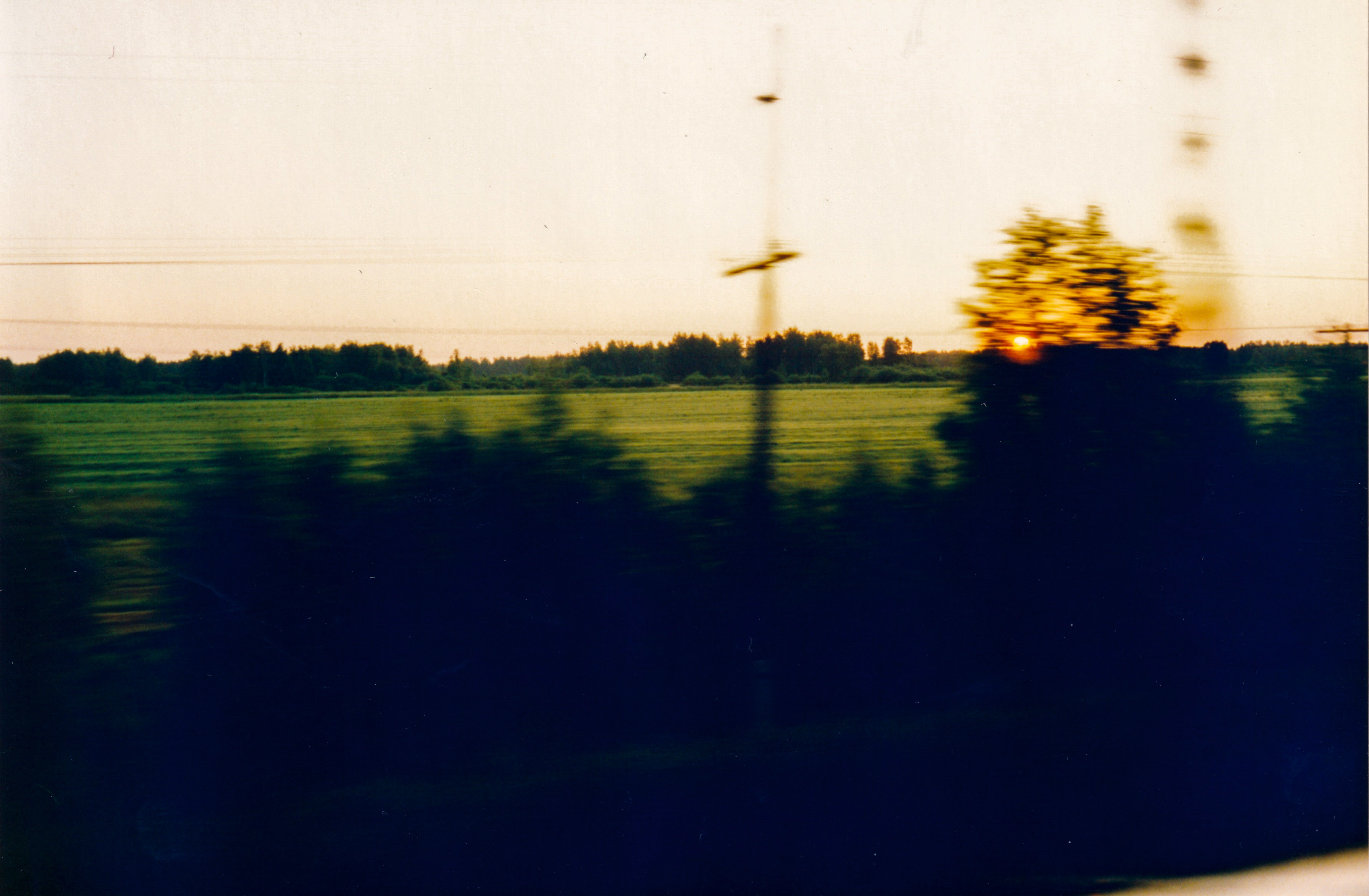 IMG_20200315_0058.jpg
