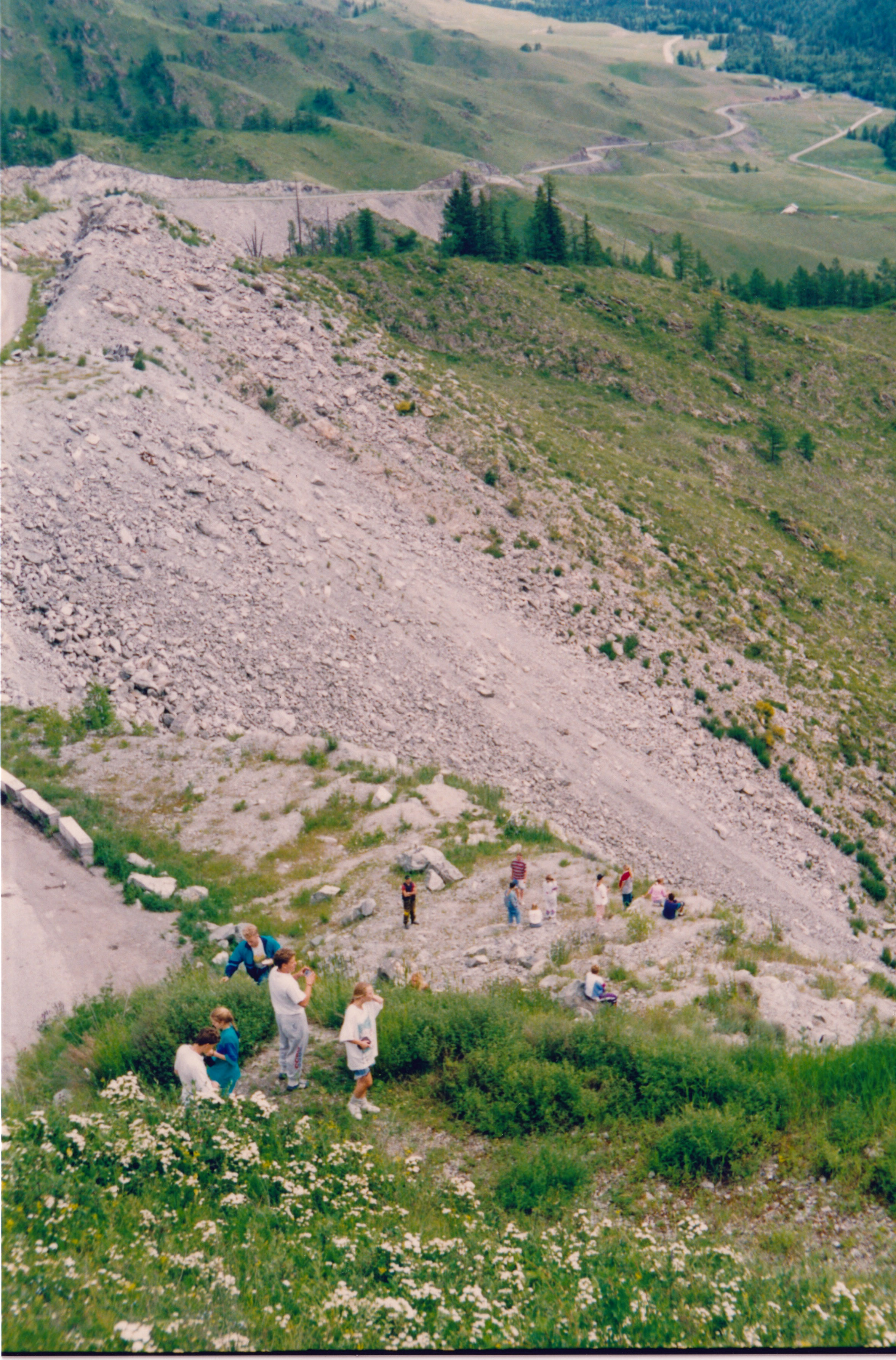 IMG_20200315_0082.jpg