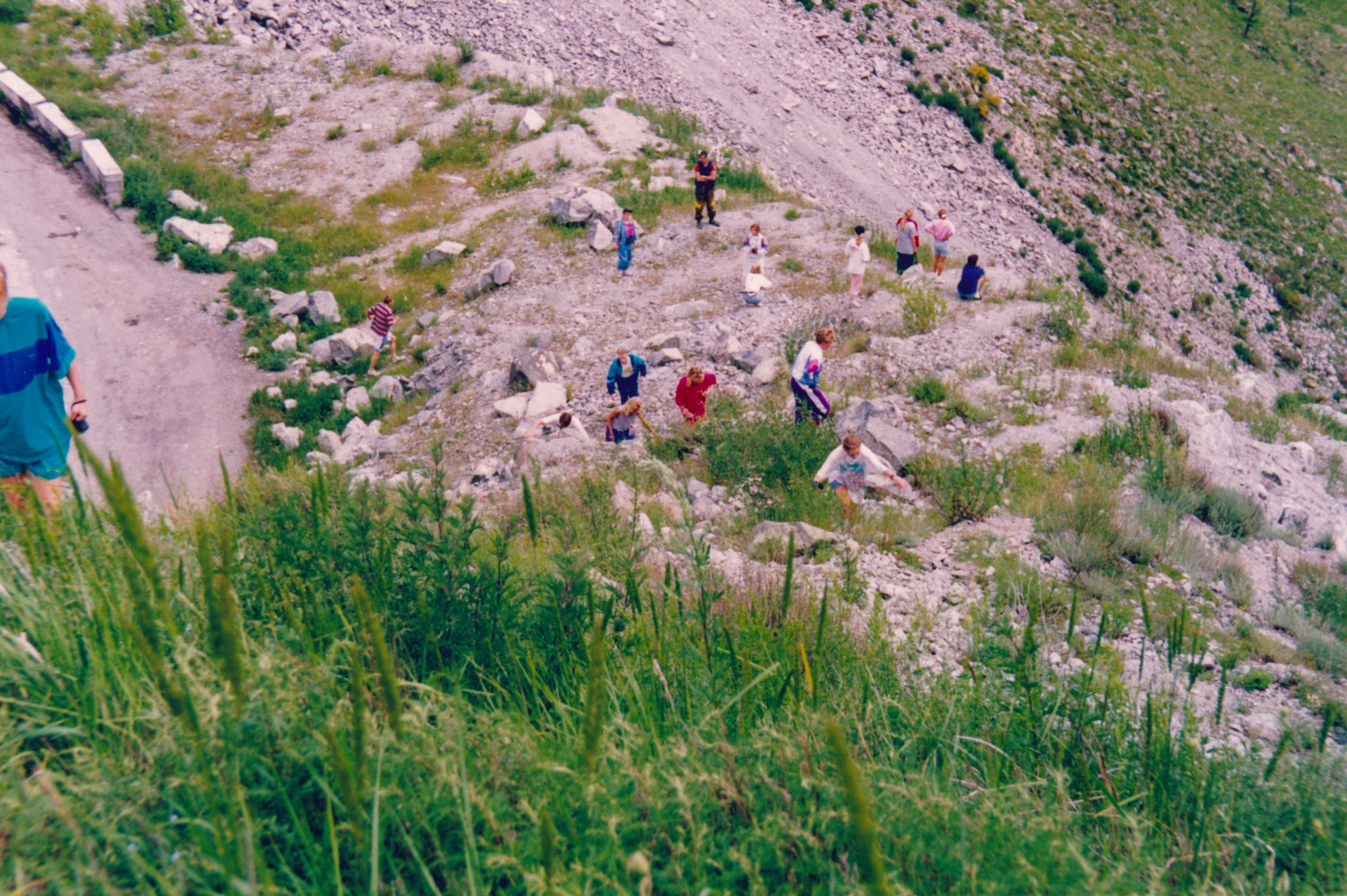 IMG_20200315_0084.jpg