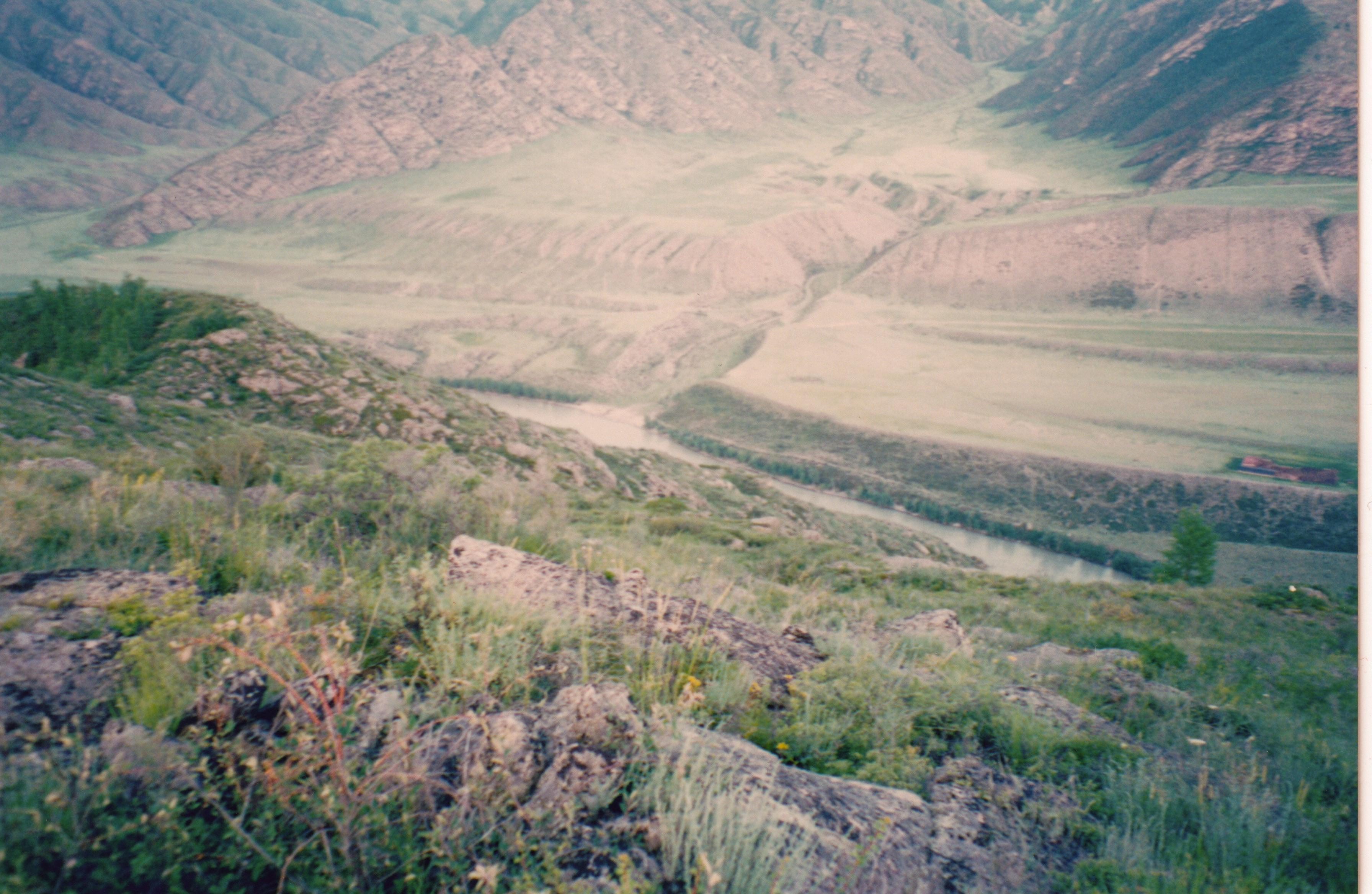 IMG_20200315_0105.jpg