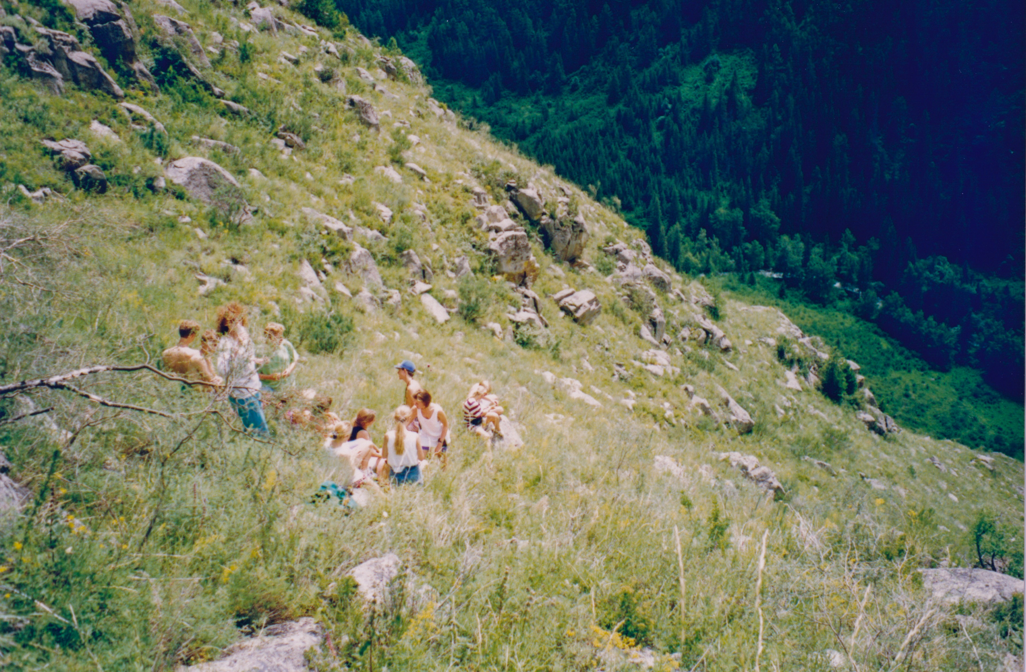 IMG_20200316_0043.jpg