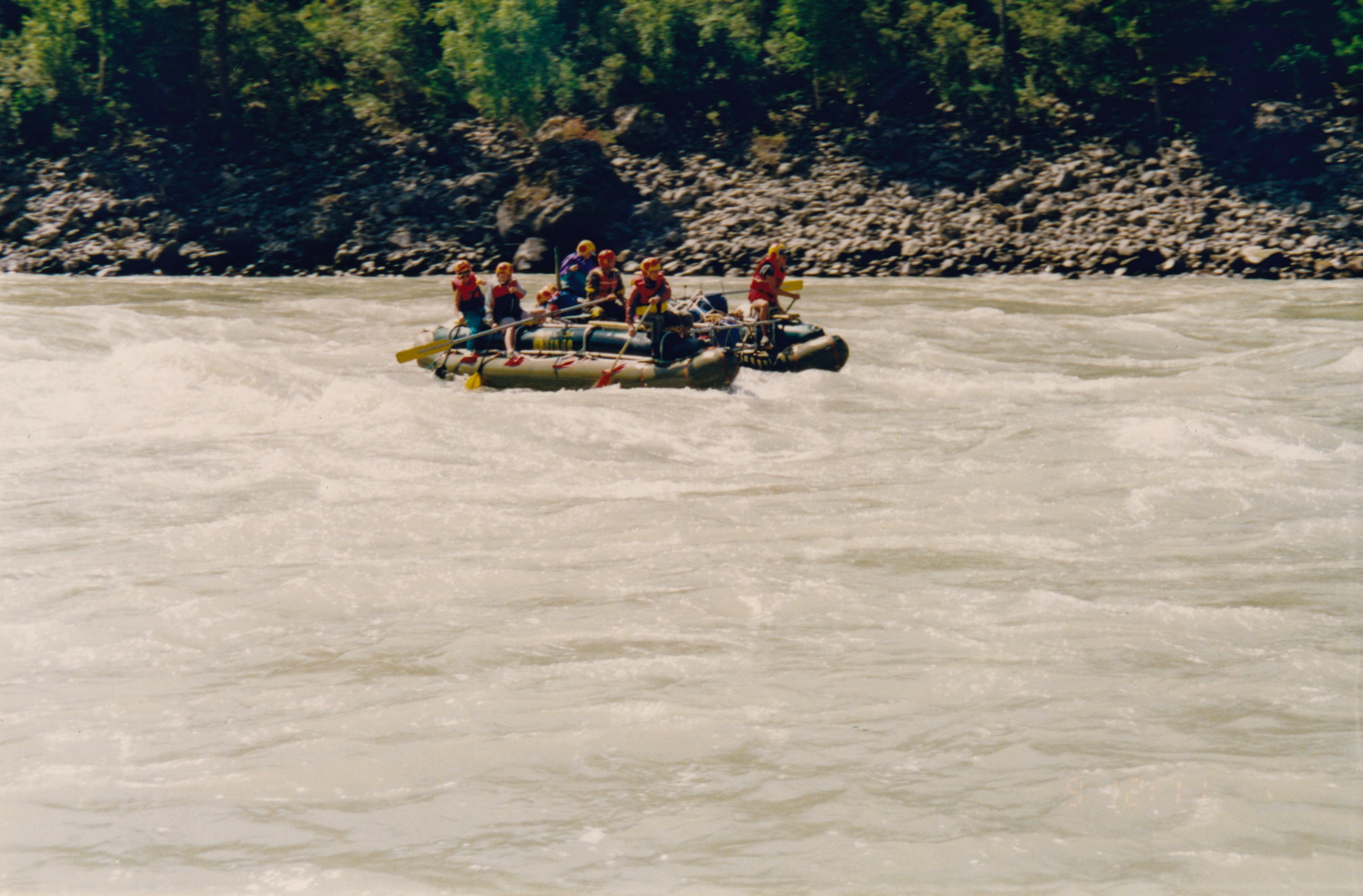 IMG_20200316_0064.jpg