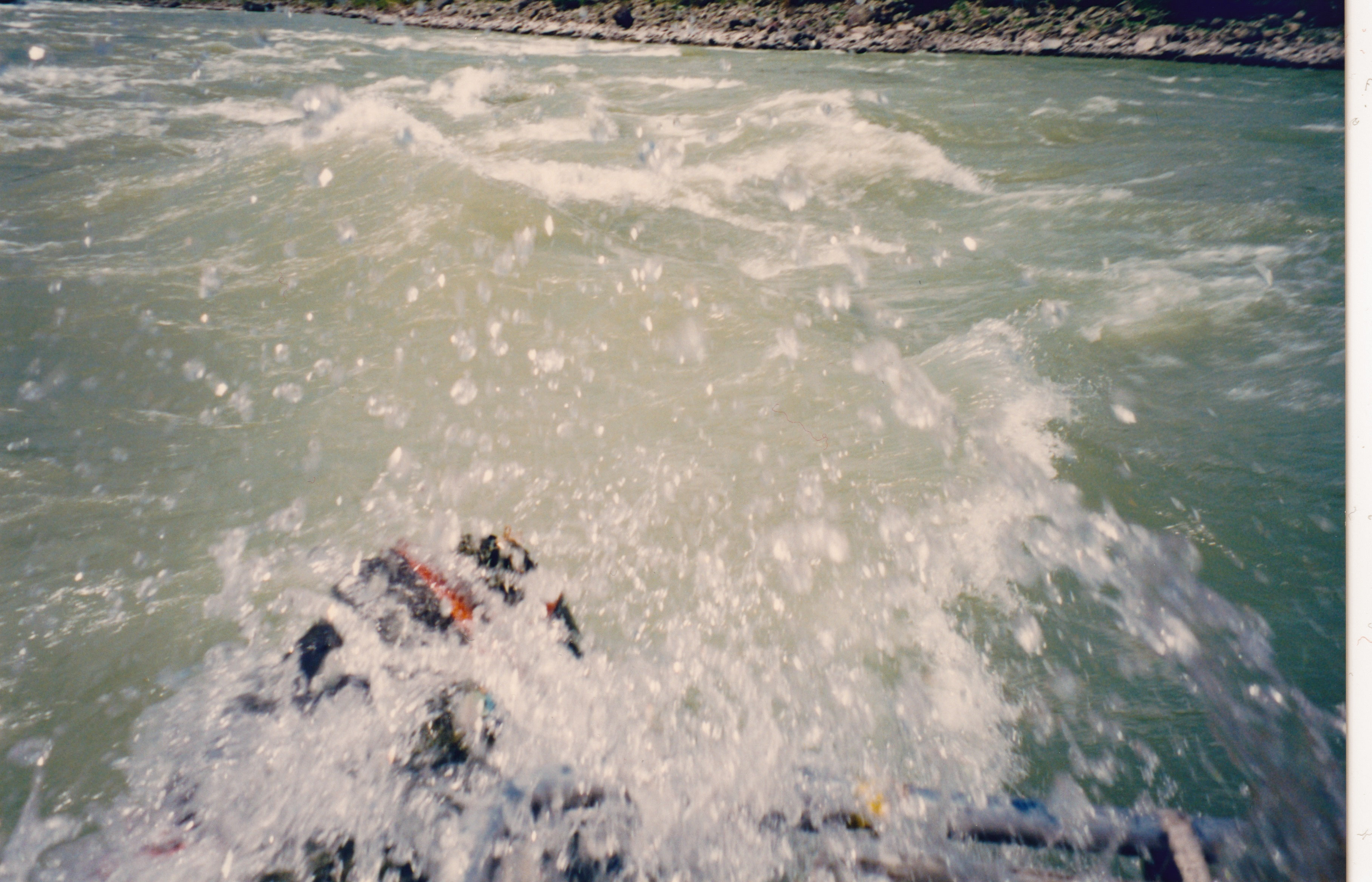 IMG_20200316_0083.jpg