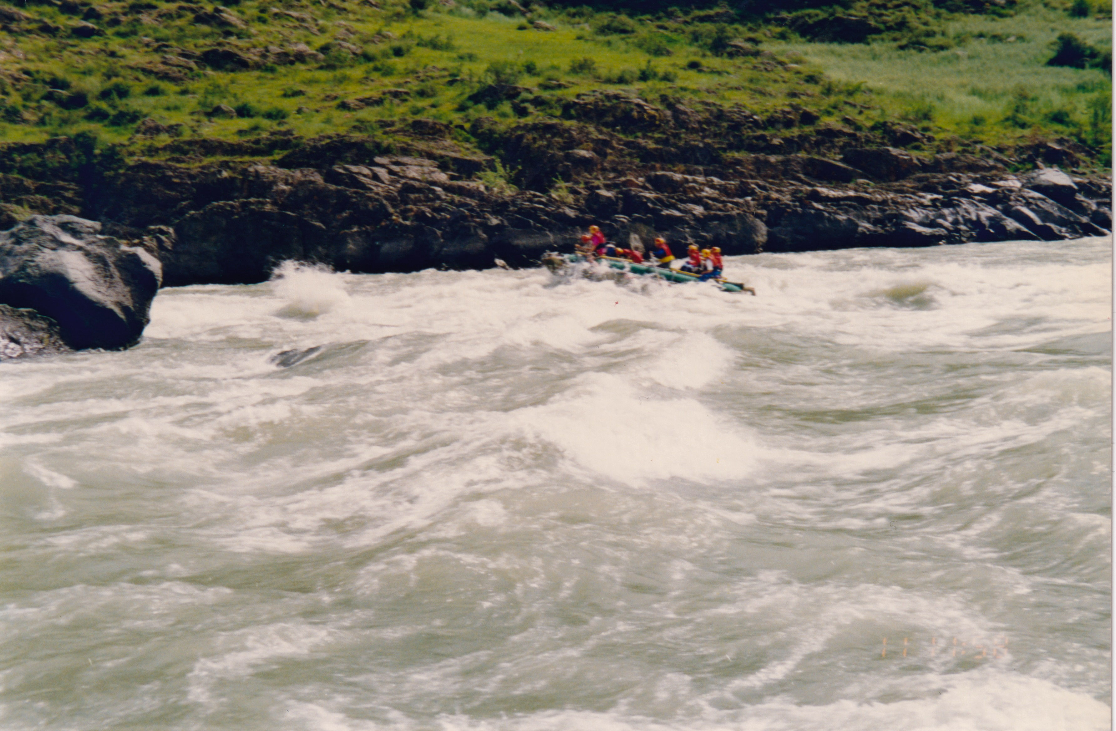 IMG_20200316_0104.jpg