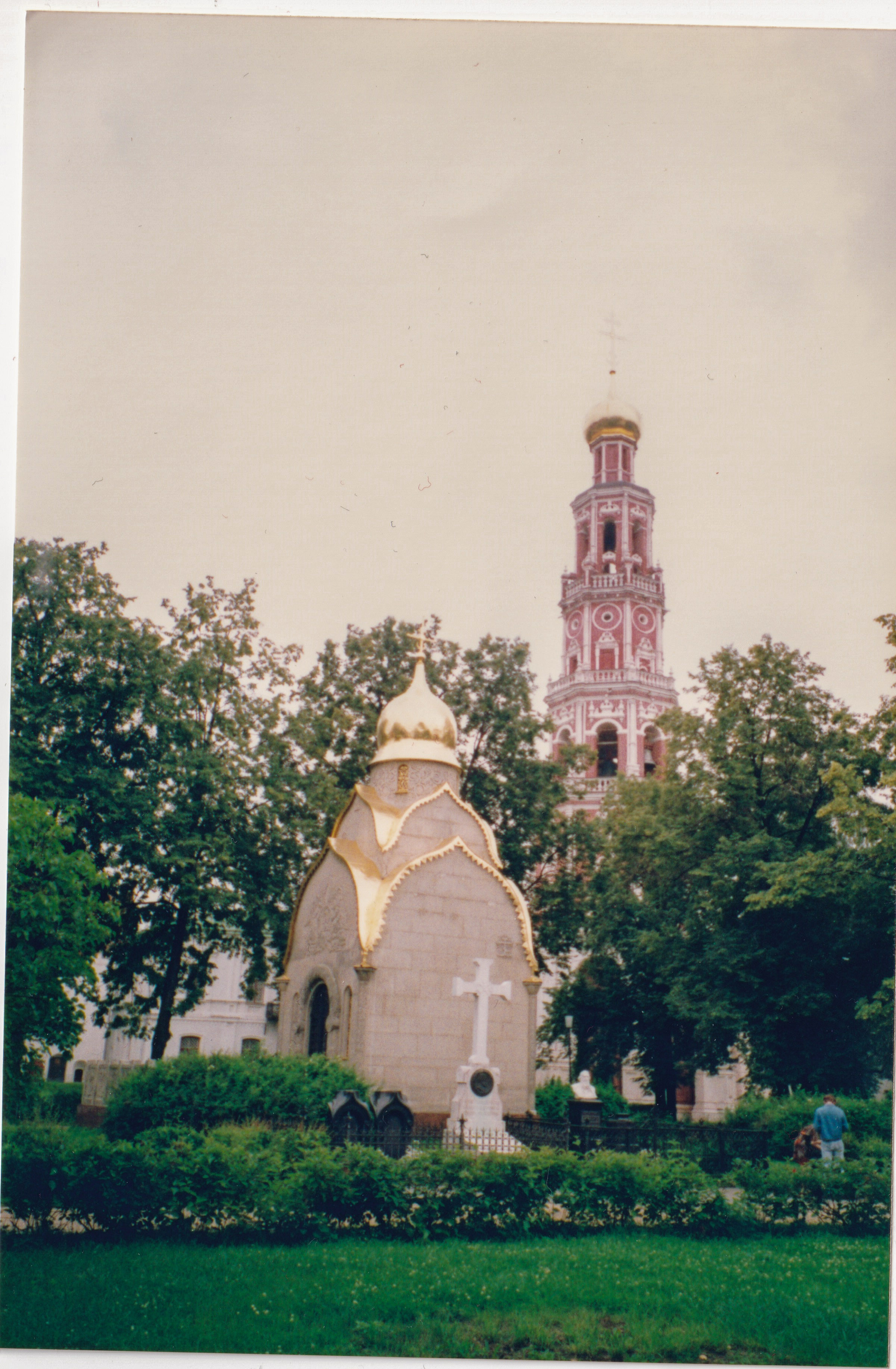IMG_20200316_0207.jpg