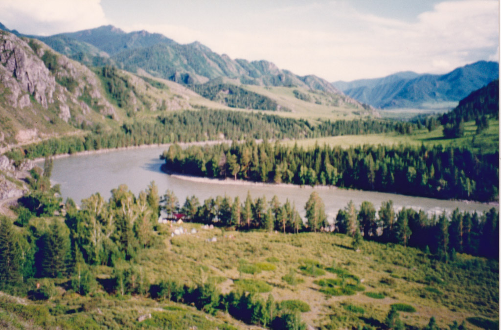 IMG_20200316_0094.jpg