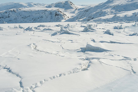 Sisimiut og omegn